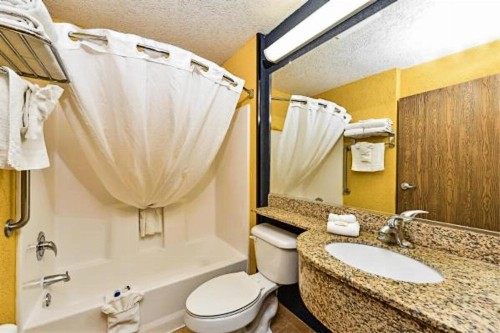 Microtel Inn & Suites by Wyndham New Braunfels I-35 - image 30