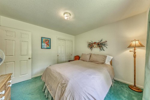 The Trout River House - image 2