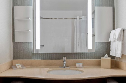Hilton Garden Inn New Orleans French Quarter/CBD - image 18