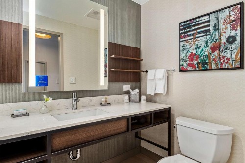 Hilton Garden Inn New Orleans French Quarter/CBD - image 29
