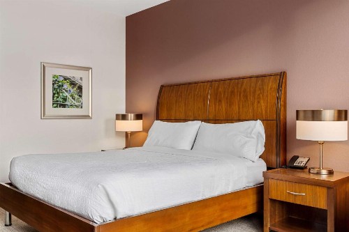 Hilton Garden Inn New Orleans French Quarter/CBD - image 37