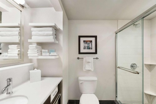 Hampton Inn New Orleans/St.Charles Ave - image 8