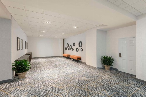 Homewood Suites by Hilton New Orleans - image 13