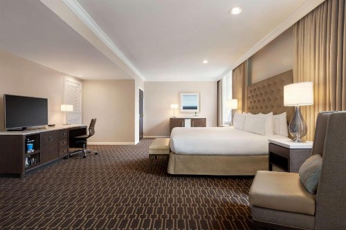 Hilton New Orleans / St. Charles Avenue - image 18