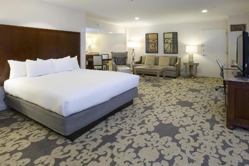 Hilton New Orleans Riverside - image 26