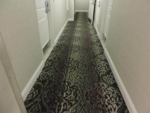 Best Western Plus St. Christopher Hotel - image 23