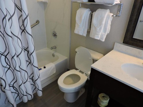 Best Western Plus St. Christopher Hotel - image 3
