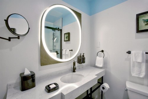 Royal St. Charles Hotel - image 35