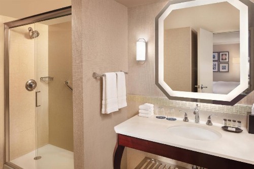 Sheraton New Orleans Hotel - image 47