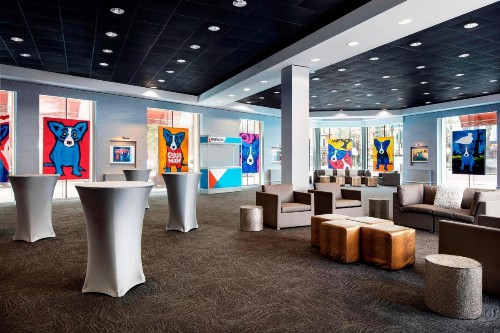 Sheraton New Orleans Hotel - image 6
