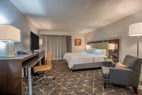 Holiday Inn New Orleans-Downtown Superdome an IHG Hotel - image 46