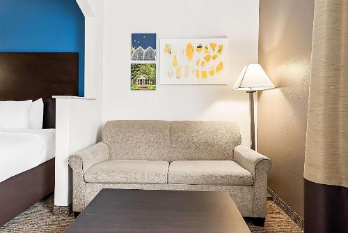 Comfort Suites New Orleans East - image 31