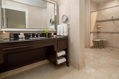 The Roosevelt Hotel New Orleans - Waldorf Astoria Hotels & Resorts - image 36