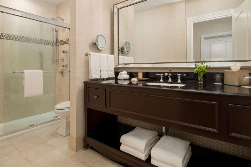 The Roosevelt Hotel New Orleans - Waldorf Astoria Hotels & Resorts - image 4