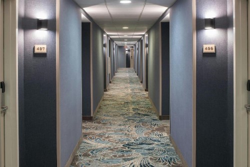 SpringHill Suites by Marriott New Orleans Downtown/Convention Center - image 10
