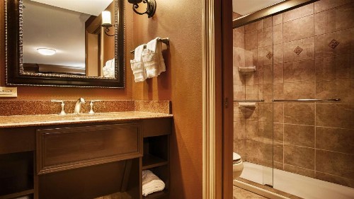 Best Western Plus French Quarter Courtyard Hotel - image 13