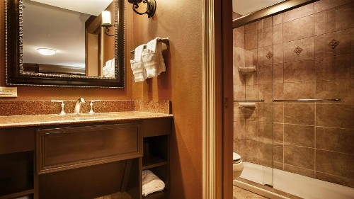 Best Western Plus French Quarter Courtyard Hotel - image 15