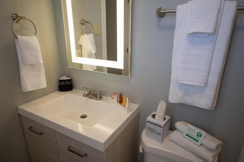 Frenchmen Orleans at 519 Ascend Hotel Collection - image 10