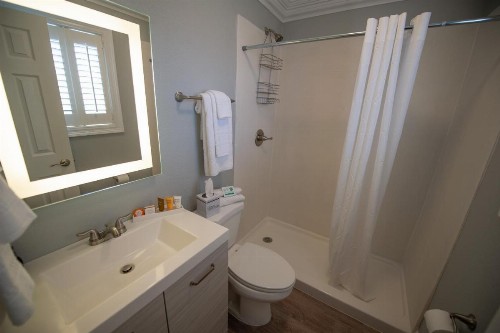 Frenchmen Orleans at 519 Ascend Hotel Collection - image 11