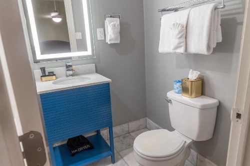 Inn on St. Ann a French Quarter Guest Houses Property - image 25