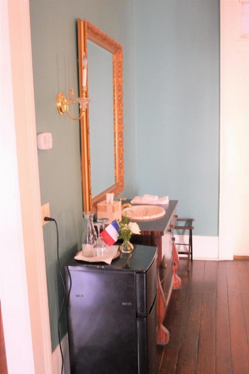 Edgar Degas House Historic Home and Museum - image 11