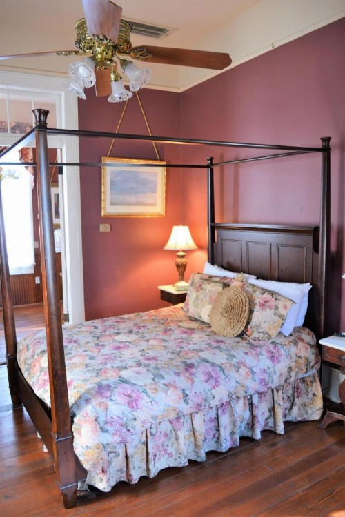 Edgar Degas House Historic Home and Museum - image 9