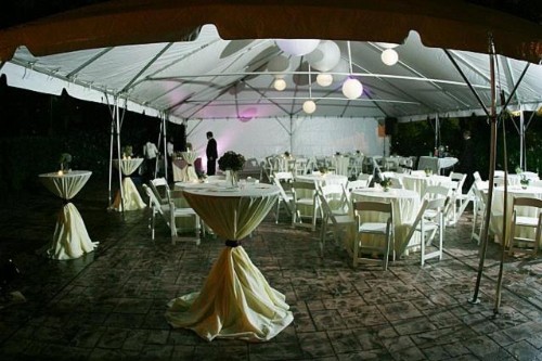 The Magnolia Mansion - image 5