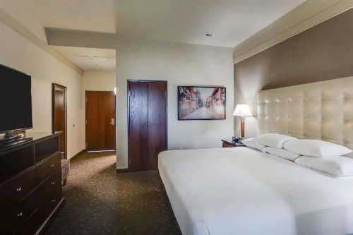 Drury Plaza Hotel New Orleans - image 12