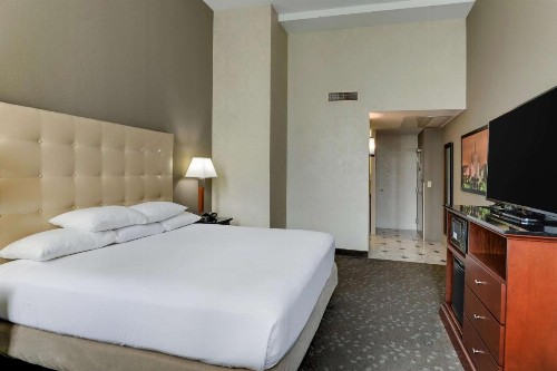 Drury Plaza Hotel New Orleans - image 7