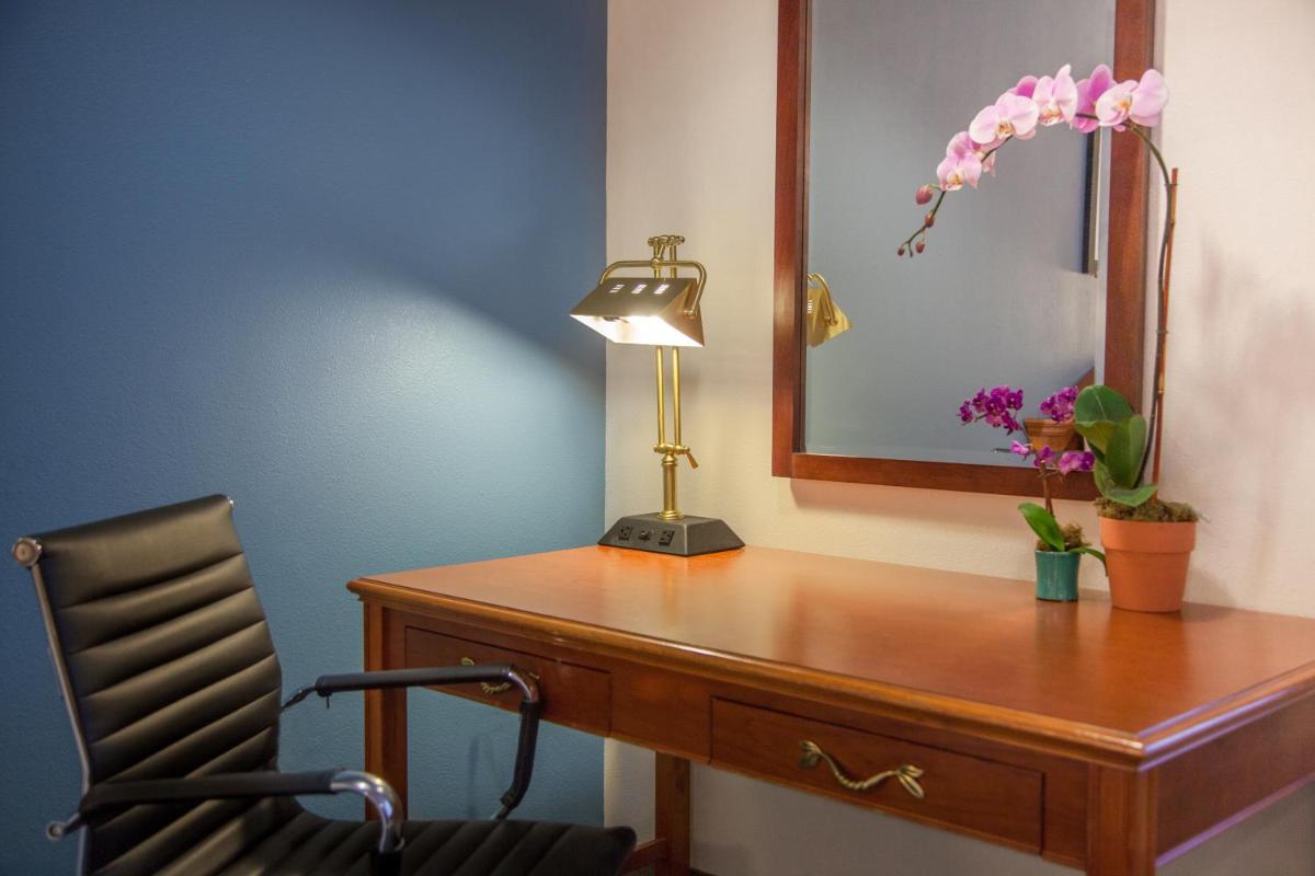 Federal City Inn & Suites - image 7
