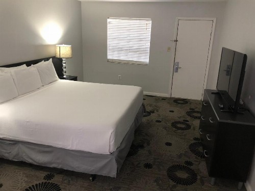 Midtown Hotel New Orleans - image 26