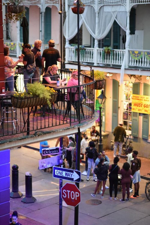 Bourbon Orleans Hotel - image 19