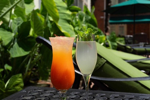 Bourbon Orleans Hotel - image 27
