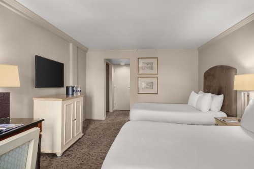 Dauphine Orleans Hotel - image 11