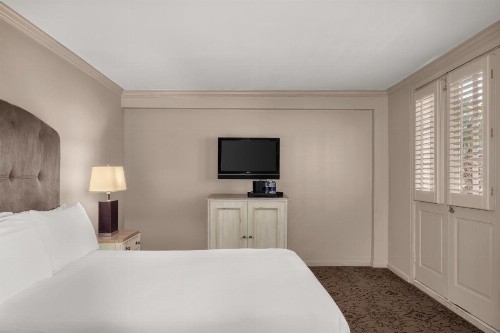 Dauphine Orleans Hotel - image 16