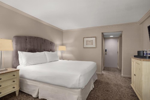 Dauphine Orleans Hotel - image 19