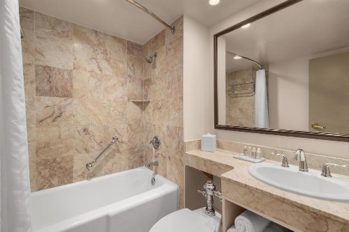 Dauphine Orleans Hotel - image 21
