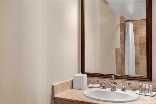Dauphine Orleans Hotel - image 22