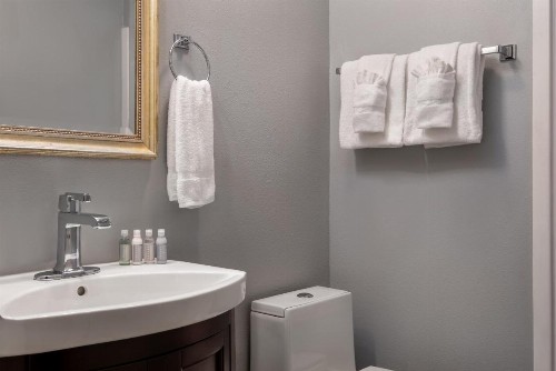 New Orleans Courtyard Hotel - image 10