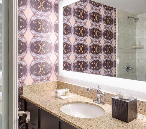 Holiday Inn Hotel French Quarter-Chateau Lemoyne an IHG Hotel - image 23