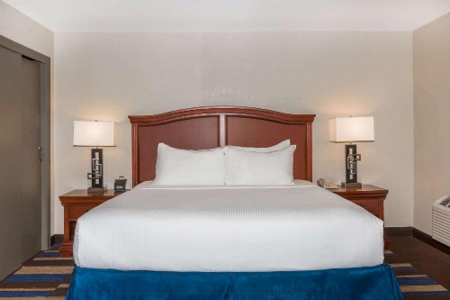 Wyndham New Orleans French Quarter - image 29