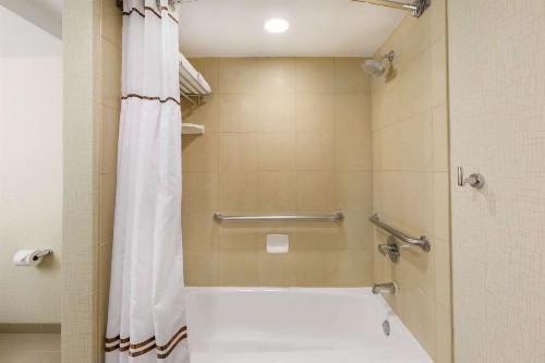 Wyndham New Orleans French Quarter - image 42