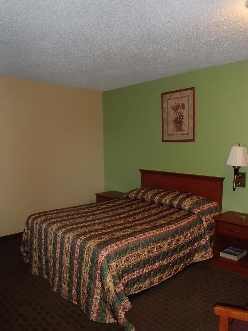 Royal Inn Of New Orleans - image 17