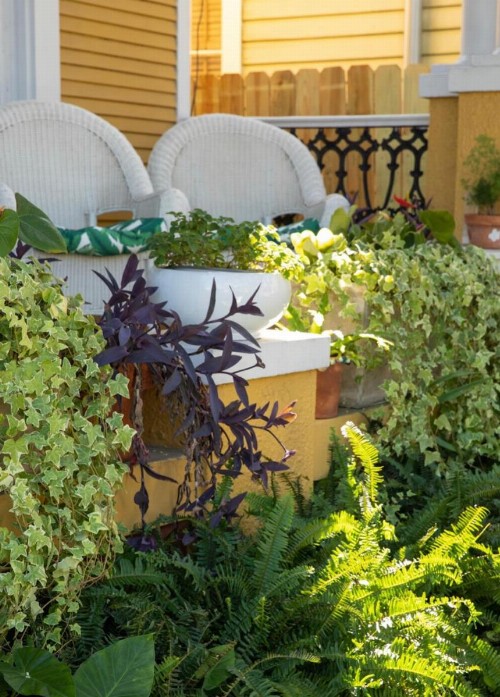 Auld Sweet Olive Bed and Breakfast - image 25