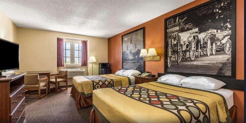 Super 8 by Wyndham New Orleans - image 8