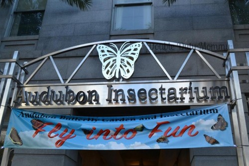 La Galerie French Quarter Hotel - image 21