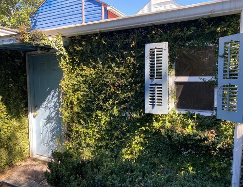 Antonine Apartment Upper Garden District - image 21