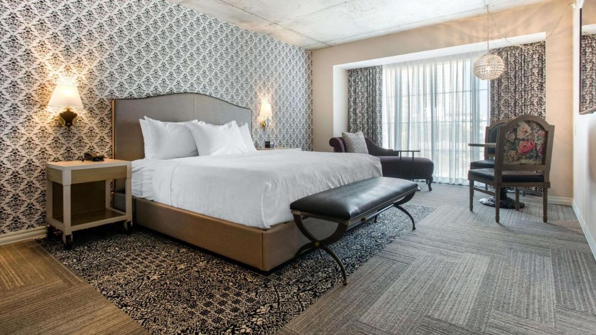 Cambria Hotel New Orleans Downtown Warehouse District - image 4