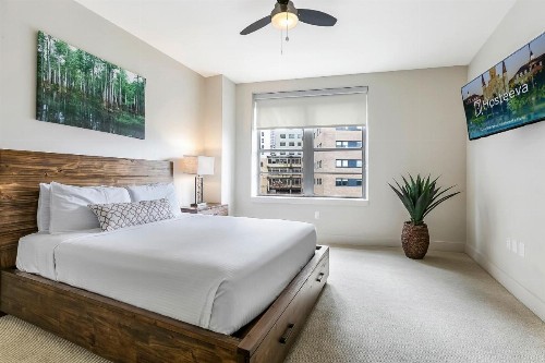 2 Bedroom Luxury condos in Downtown New Orleans - image 7
