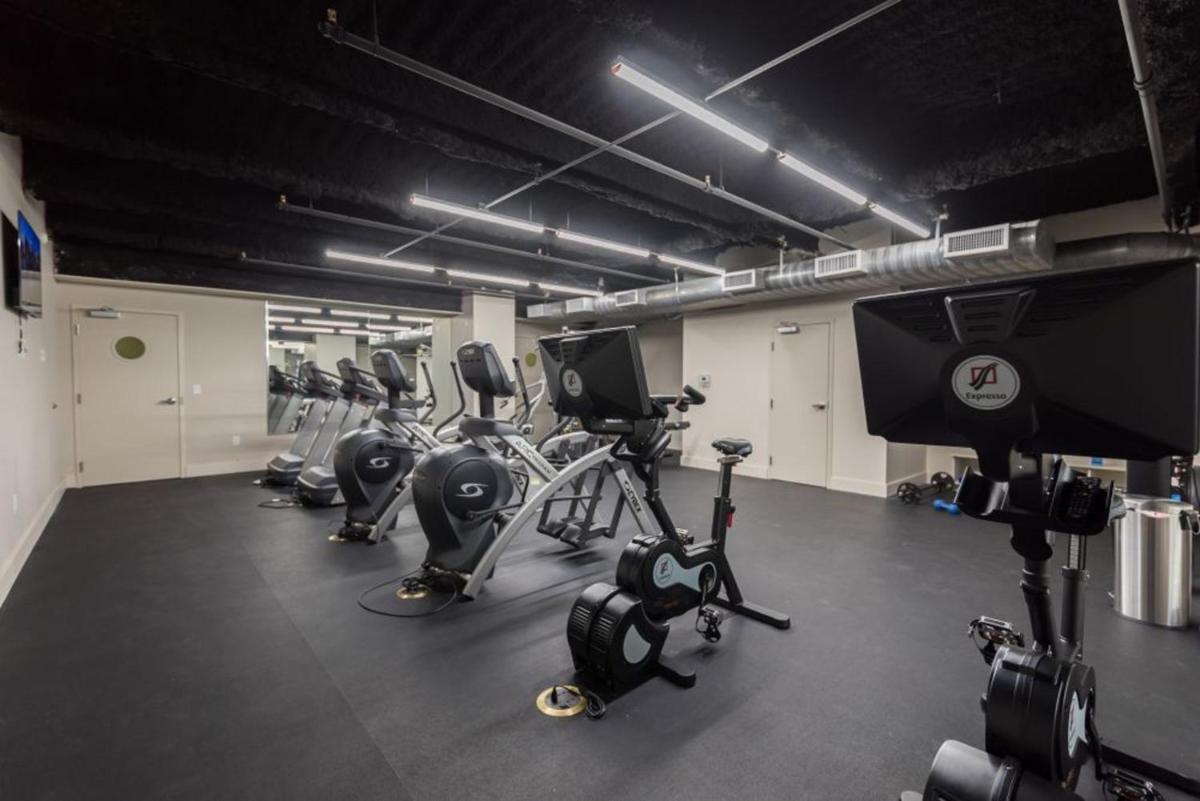 Pet-Friendly Luxury condos in Downtown New Orleans - image 3